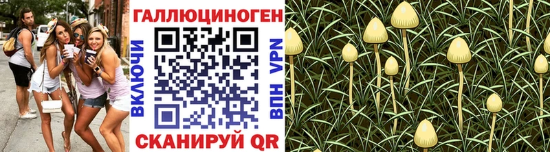 Псилоцибиновые грибы мухоморы  mega как зайти  Берёзовка 